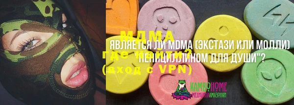 индика Богданович
