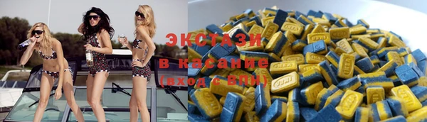 индика Богданович