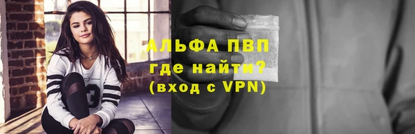 индика Богданович