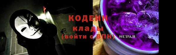индика Богданович