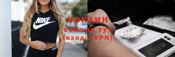 индика Богданович
