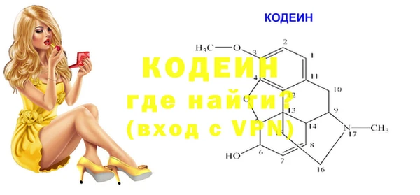индика Богданович