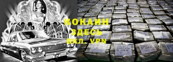 индика Богданович