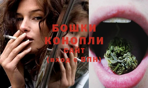 индика Богданович