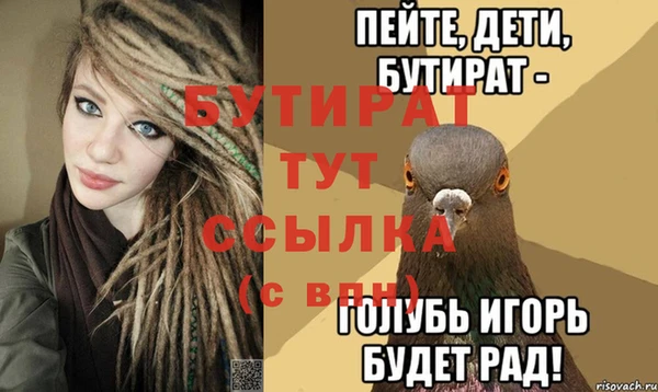 индика Богданович