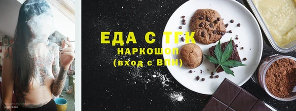 индика Богданович