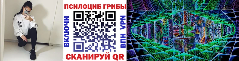 Купить закладки  Кингисепп  Псилоцибиновые грибы MAGIC MUSHROOMS 